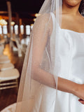 Glitter Veil