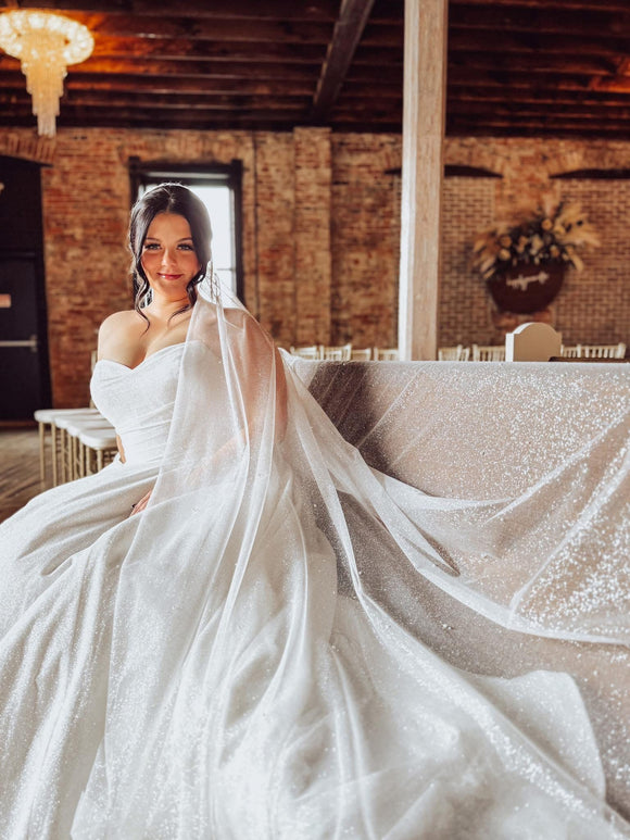 Glitter Tulle Cathedral Veil